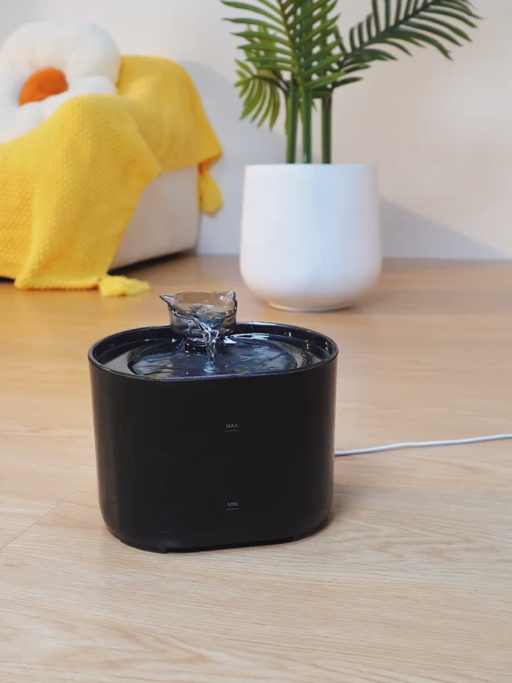 Cat drinking bowl/fountain