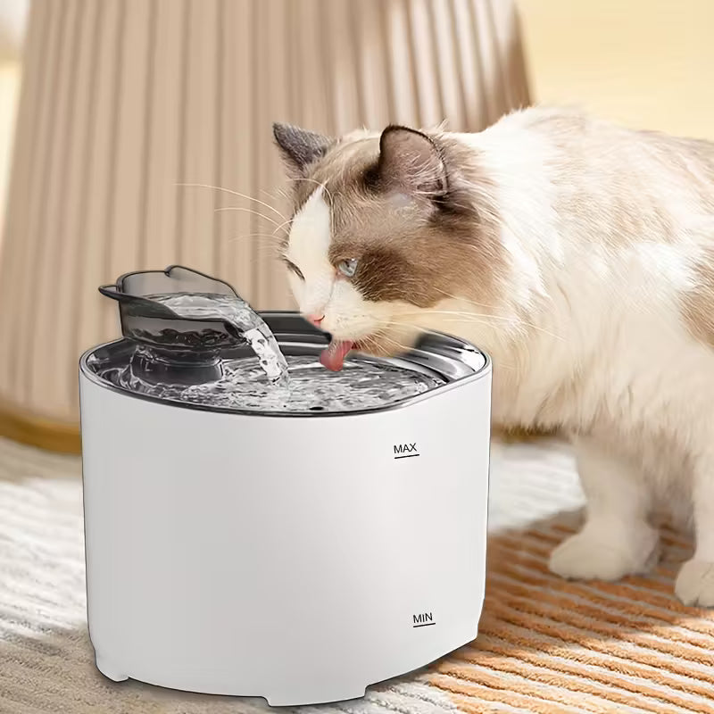Cat drinking bowl/fountain