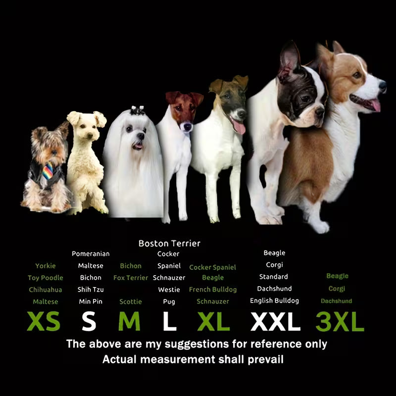 4pcs Water-Resistant Dog Shoes For Small Dogs - Protect Your Pet's Paws And Keep Them Dry